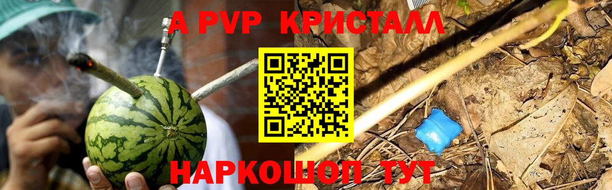 Alpha PVP  APVP крисы CK  Вход с VPN  Альфа ПВП СК  Alfa_PVP Соль  Благодарный 